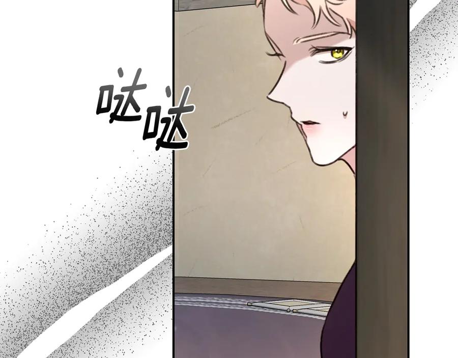 第252页