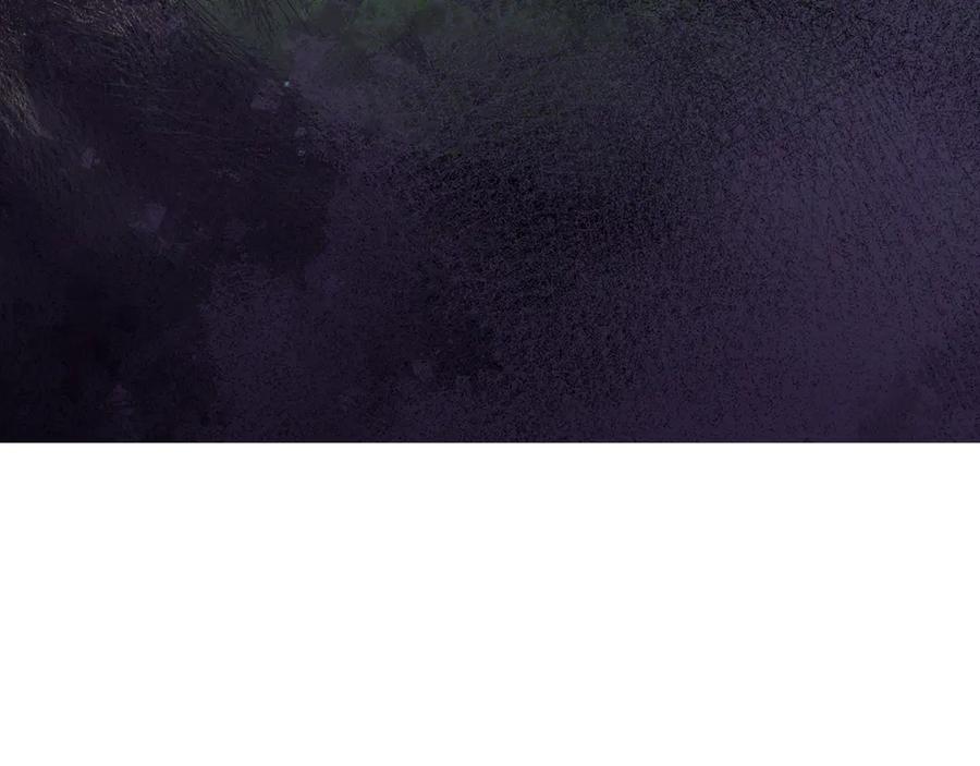 第260页