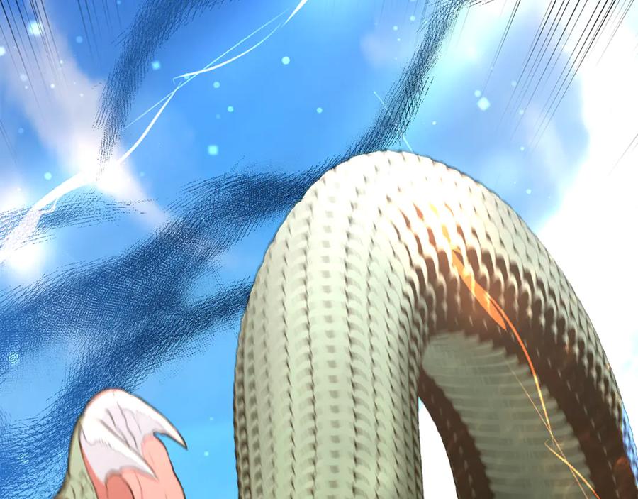 第206页