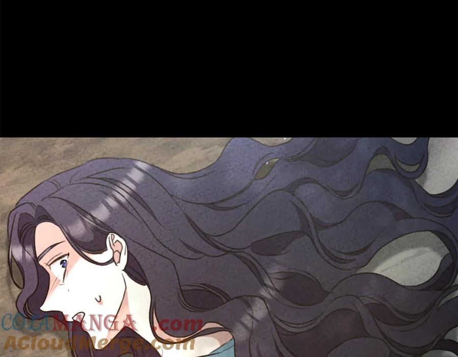 第241页