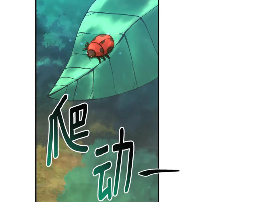 第246页