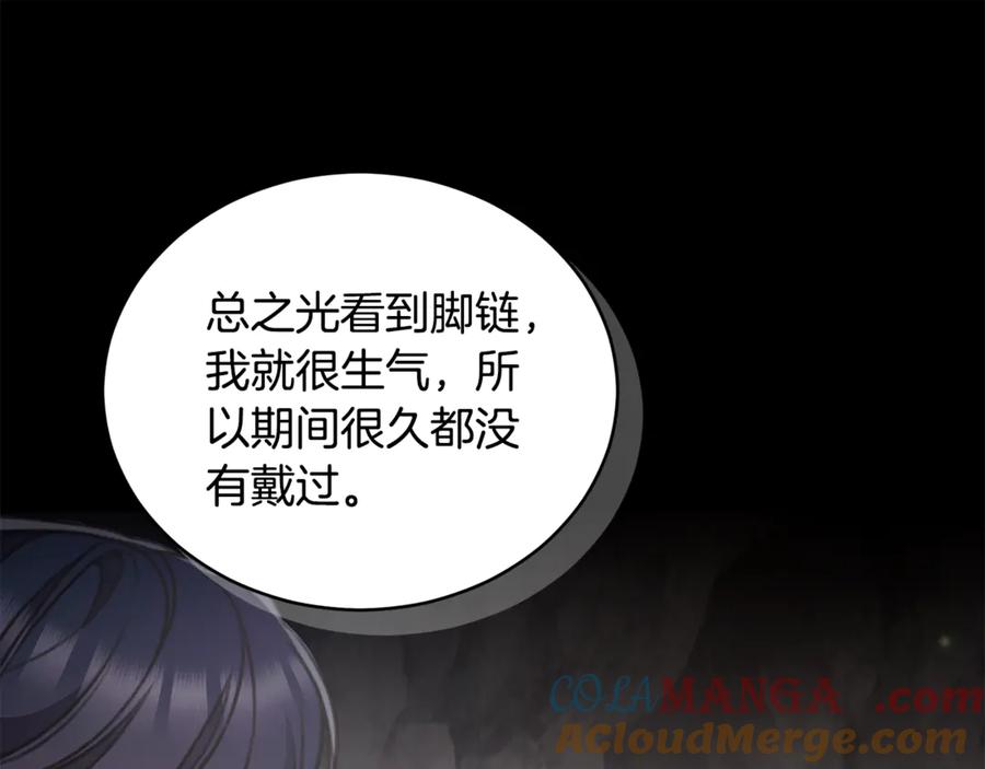 第217页