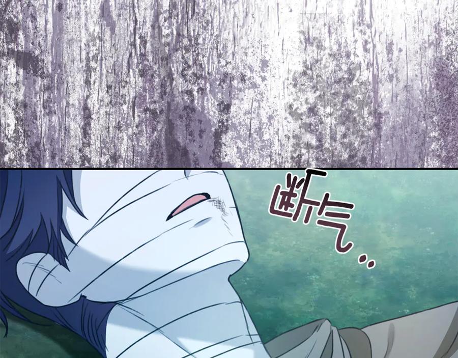 第260页