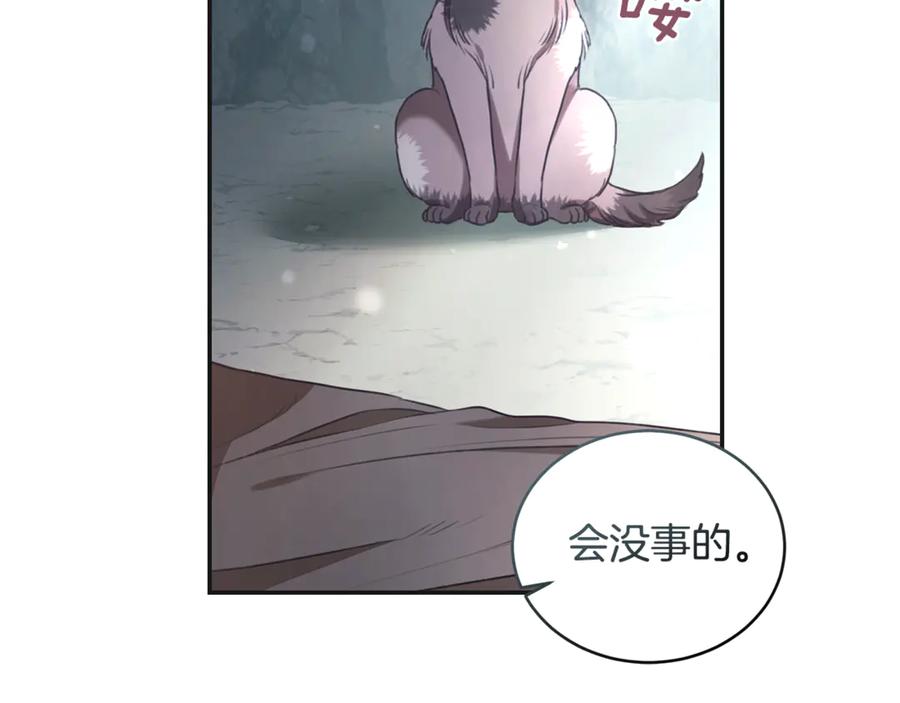 第228页
