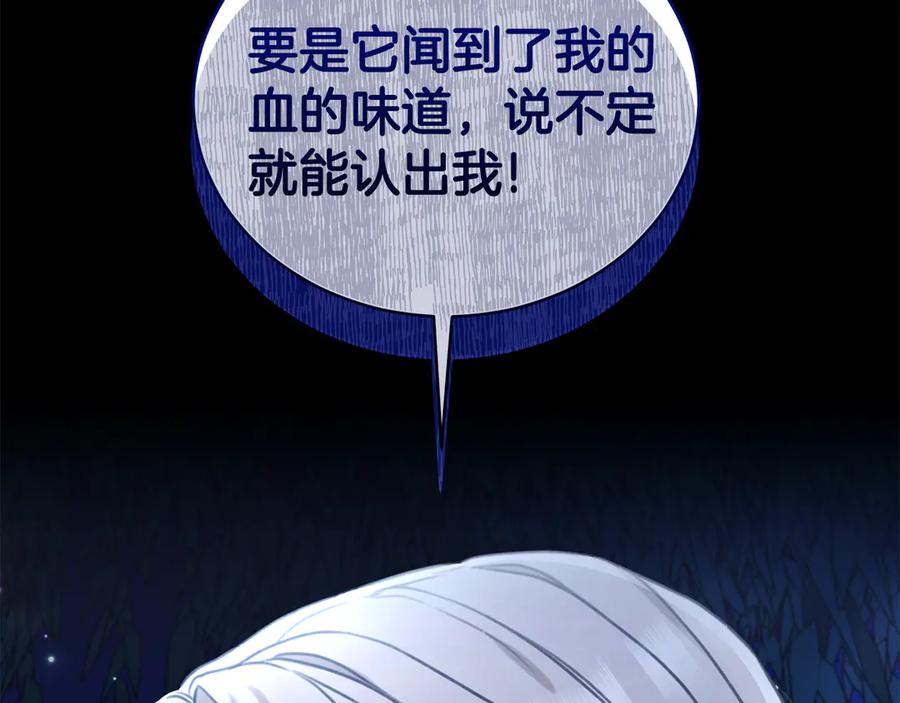 第247页