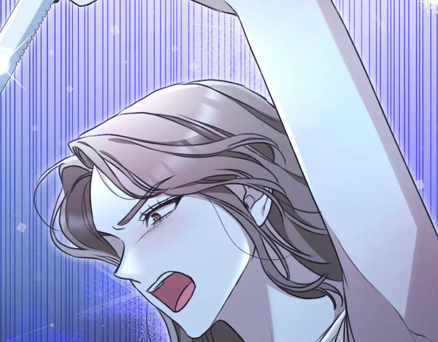 第256页