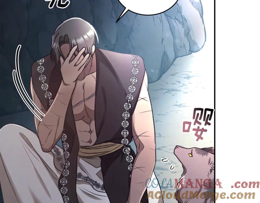 第213页
