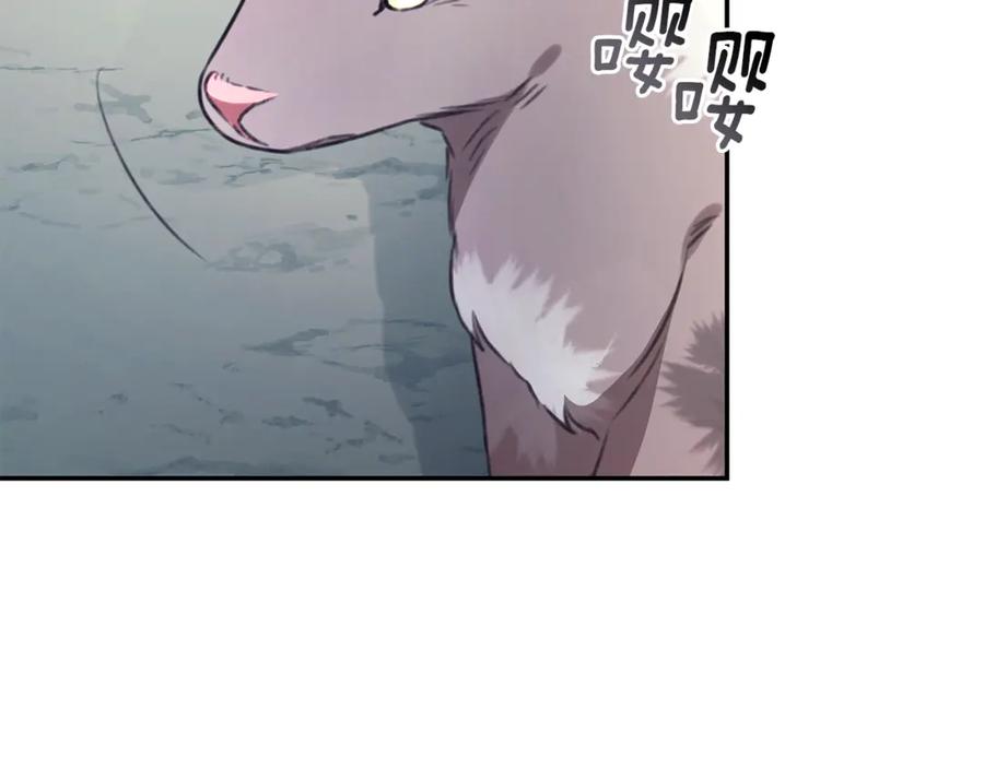 第247页