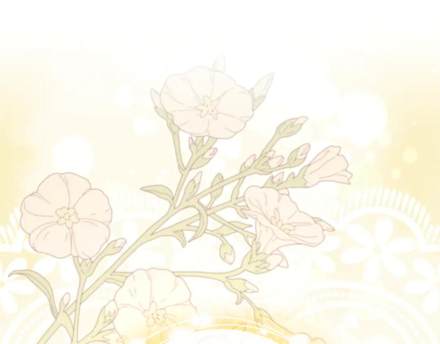 第262页