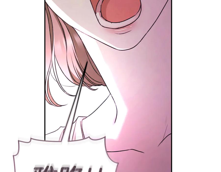 第240页