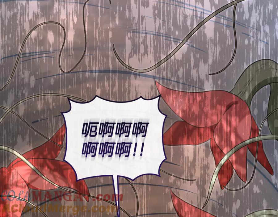 第249页