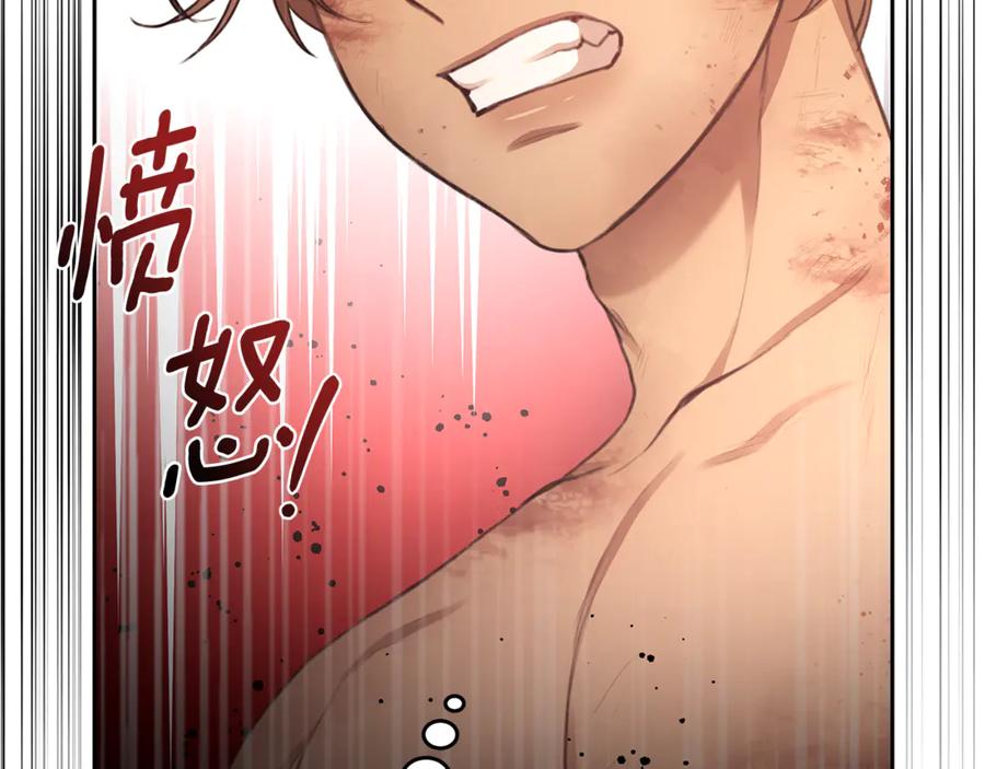第215页