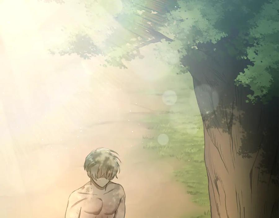 第231页
