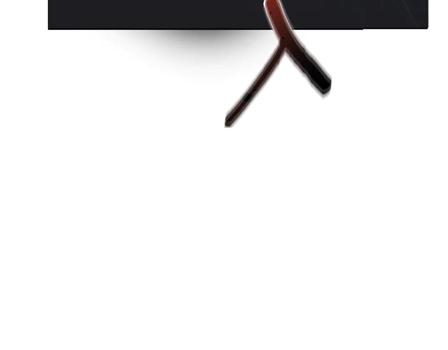 第243页