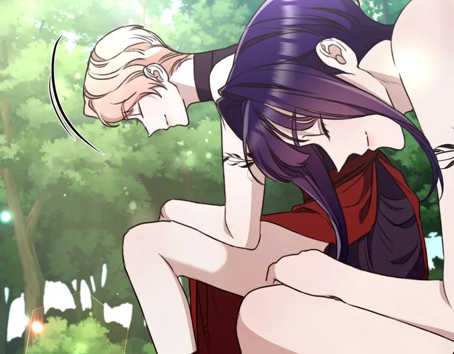 第204页