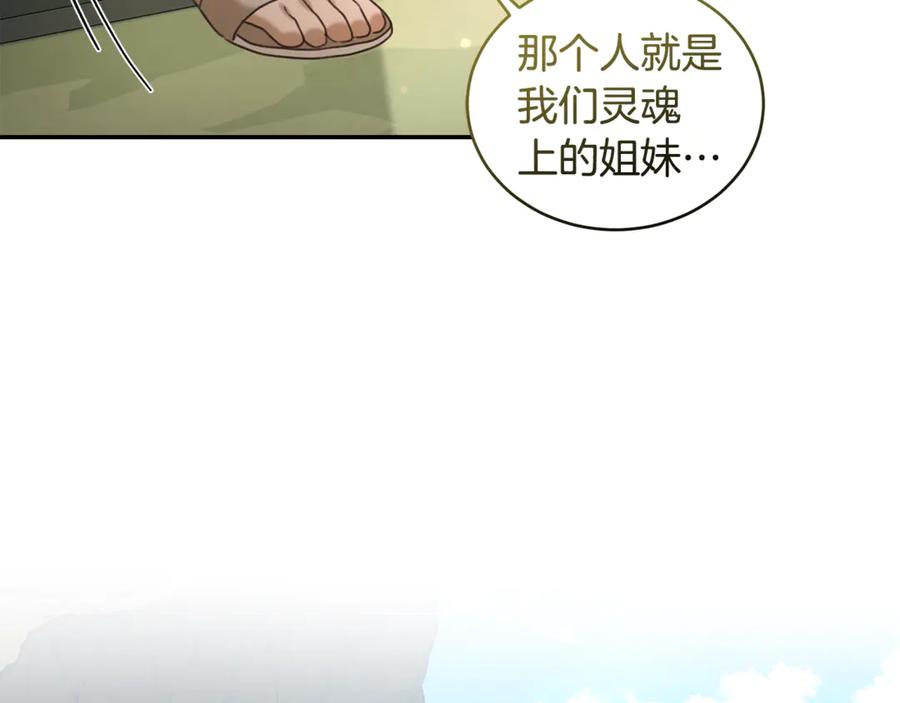 第223页