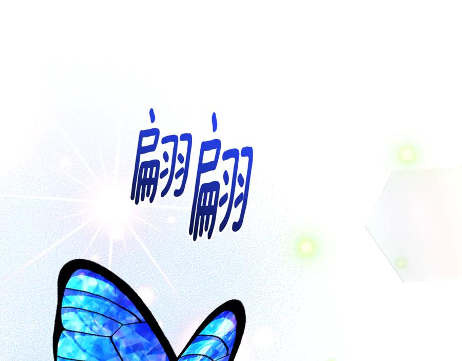 第215页