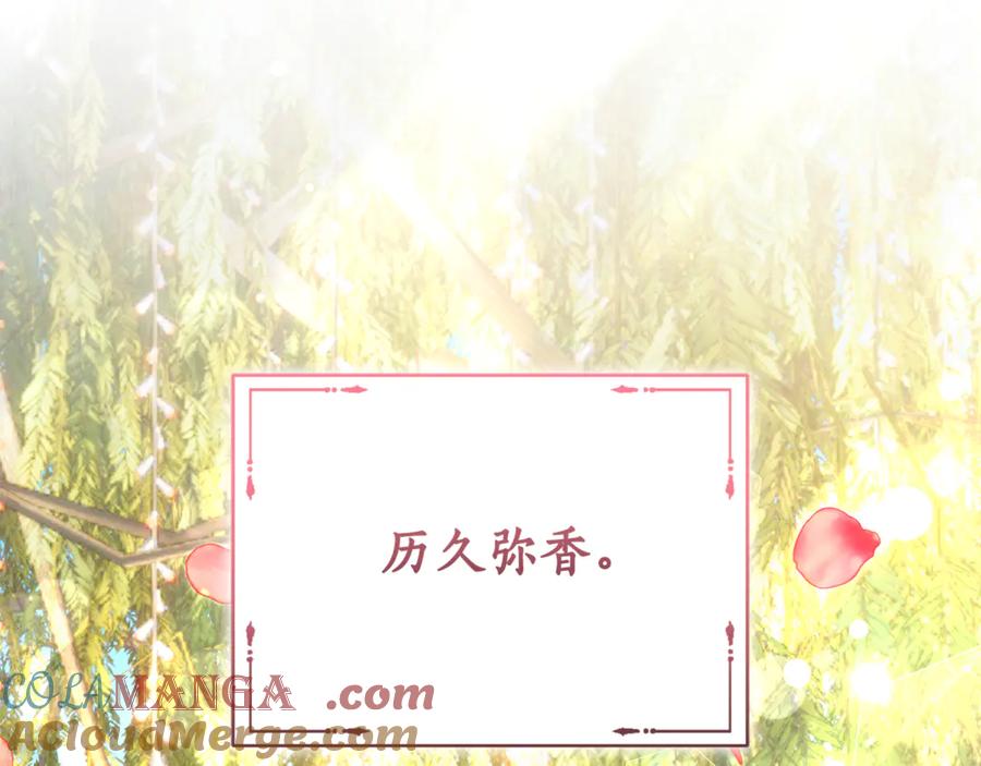 第237页
