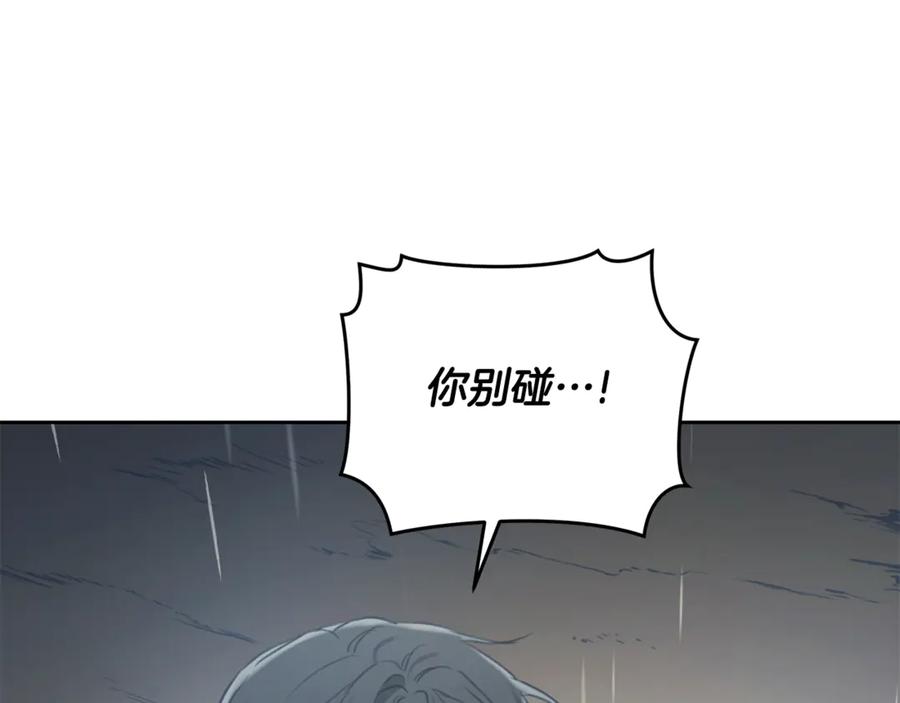 第217页