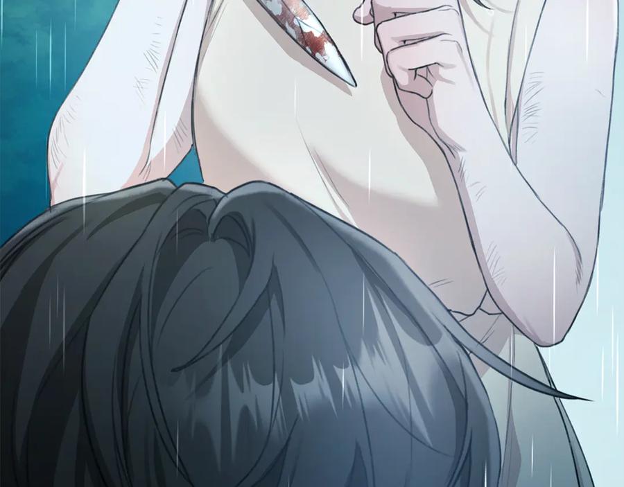 第239页
