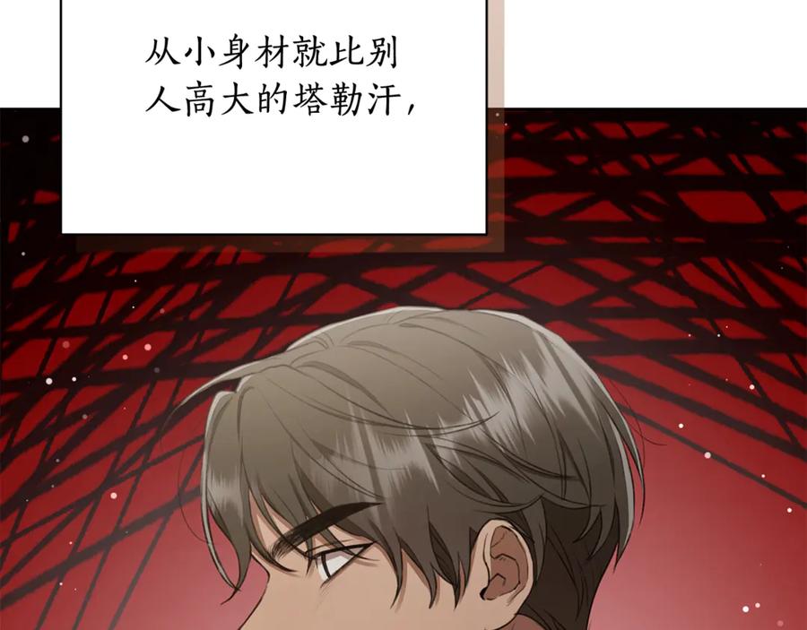 第223页