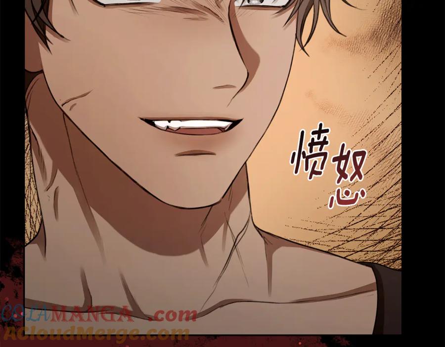 第237页