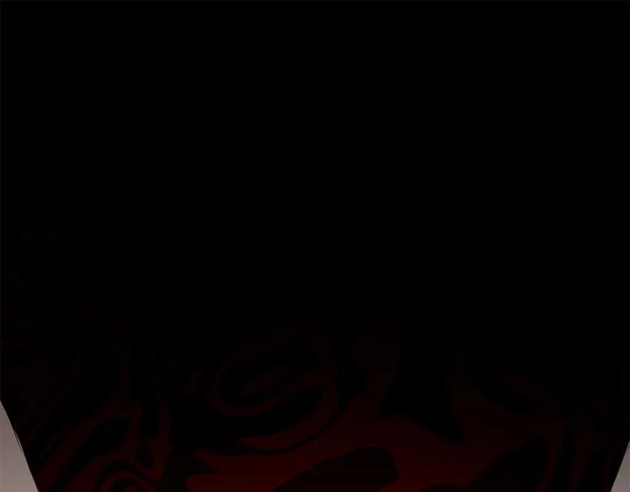 第247页