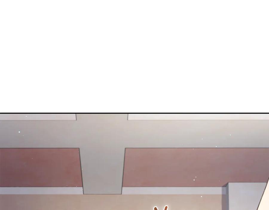 第223页