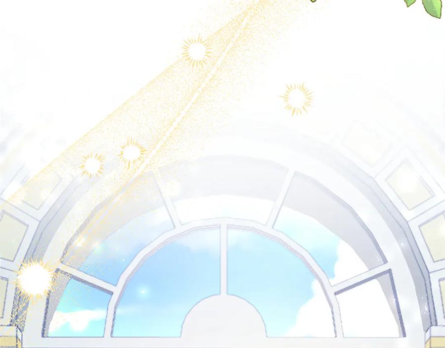 第215页