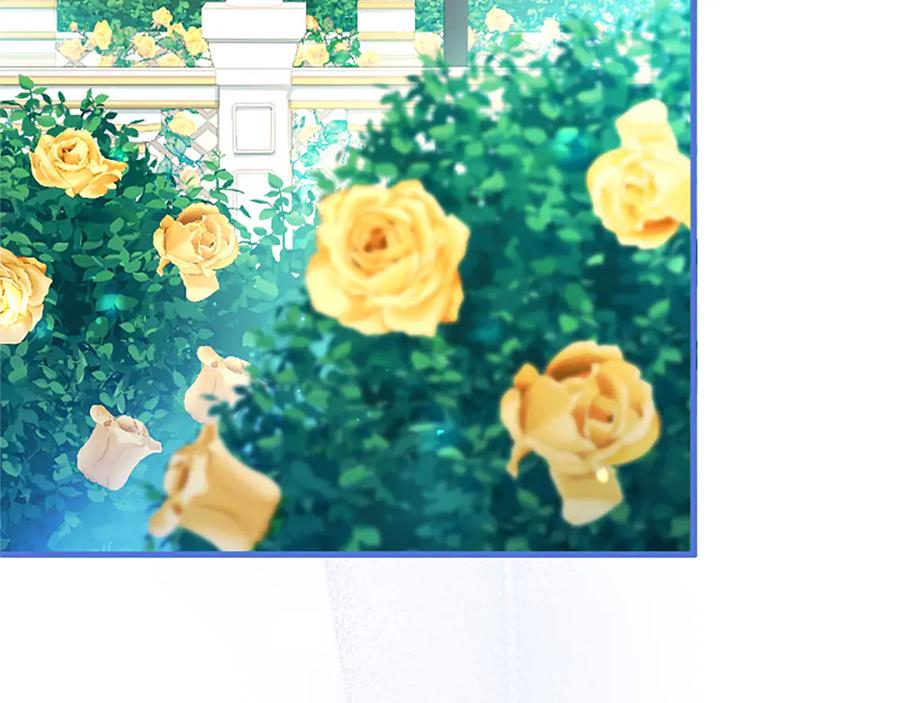 第251页