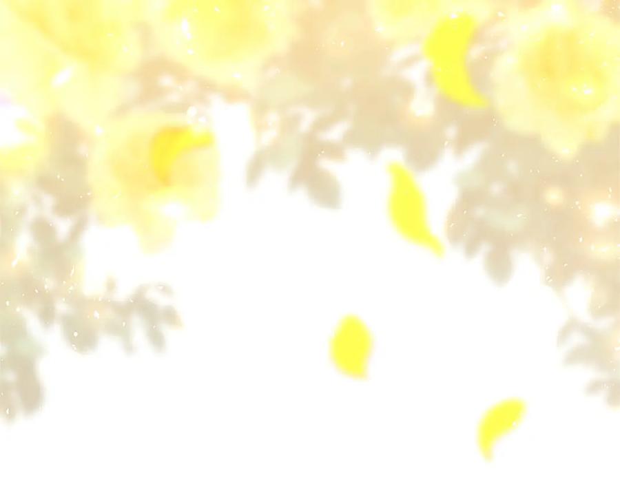 第267页