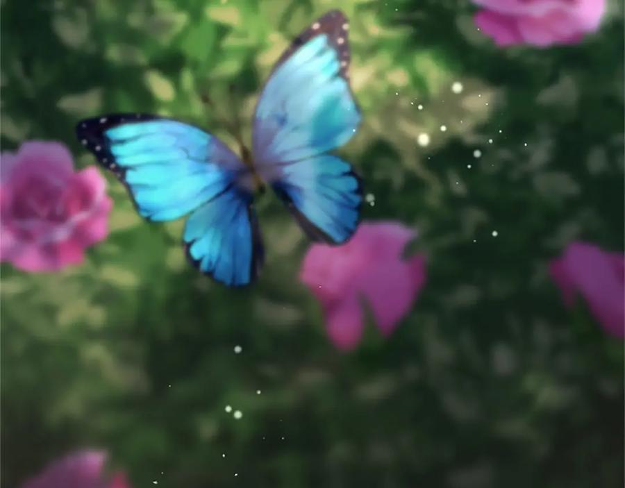 第204页