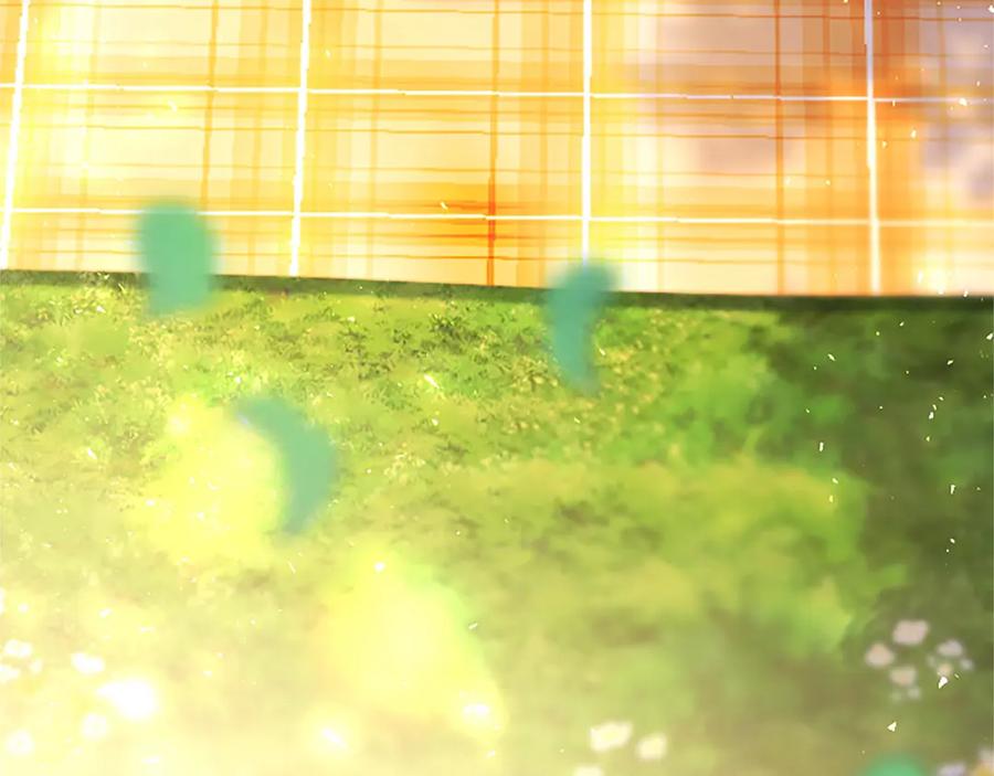 第239页