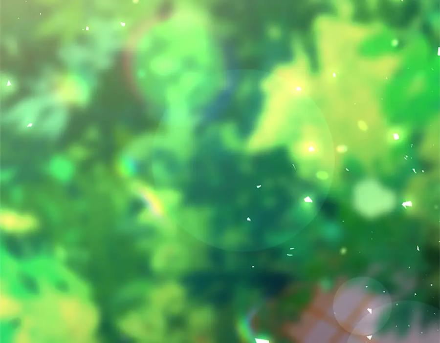 第246页