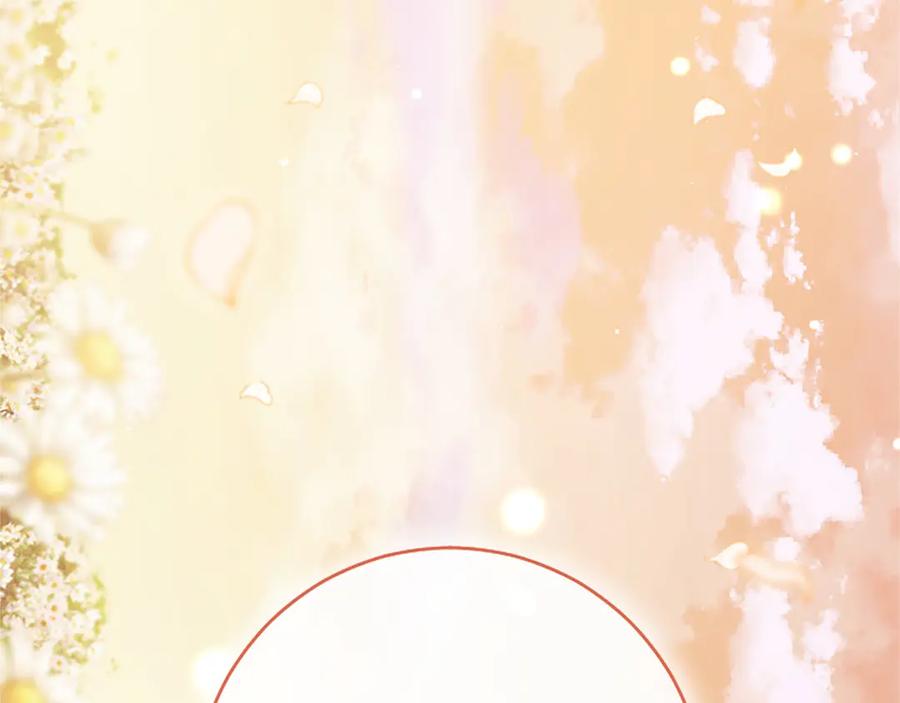 第255页