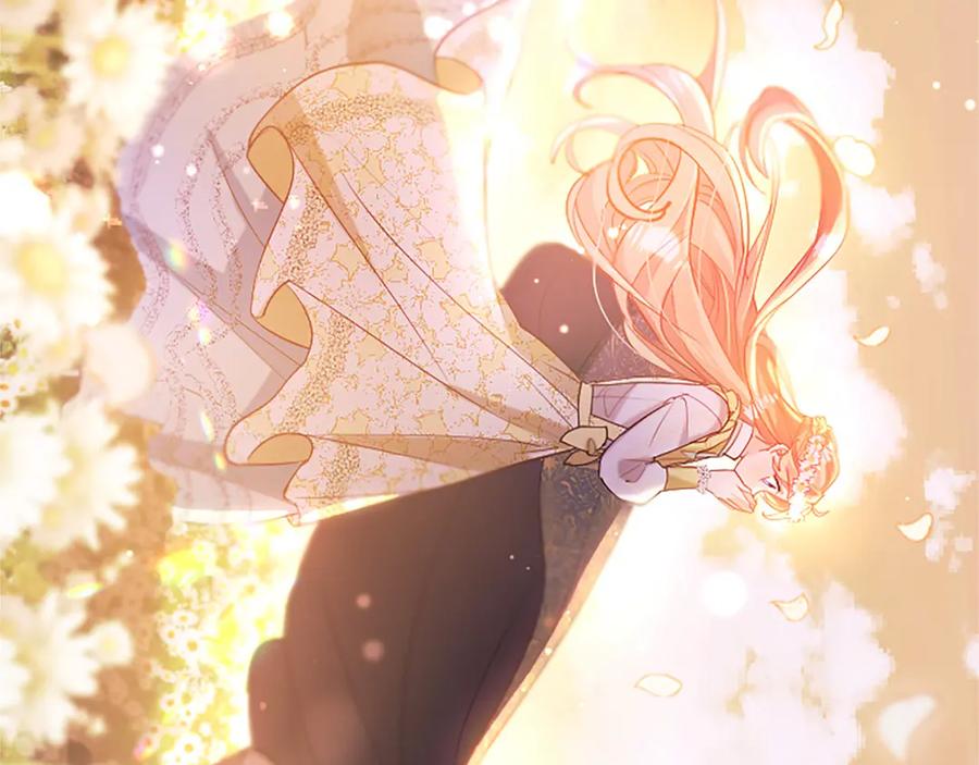 第258页
