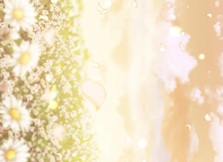 第260页