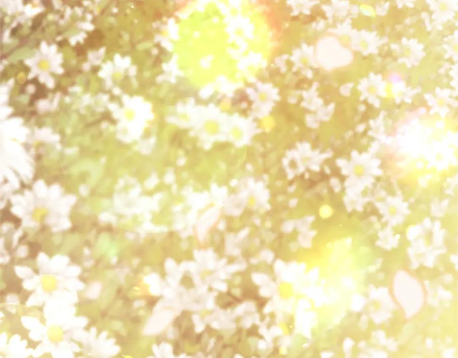 第283页