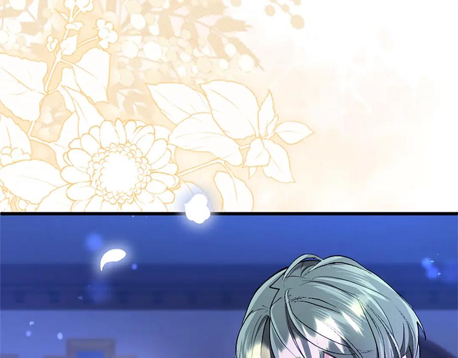 第206页