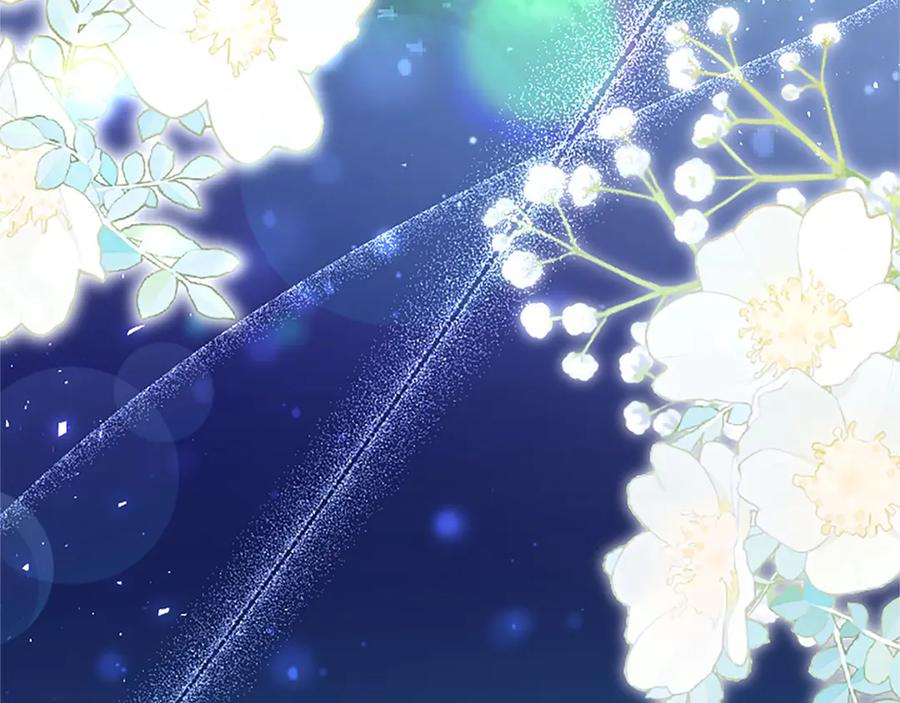 第215页