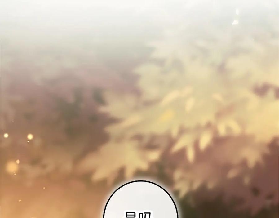 第243页