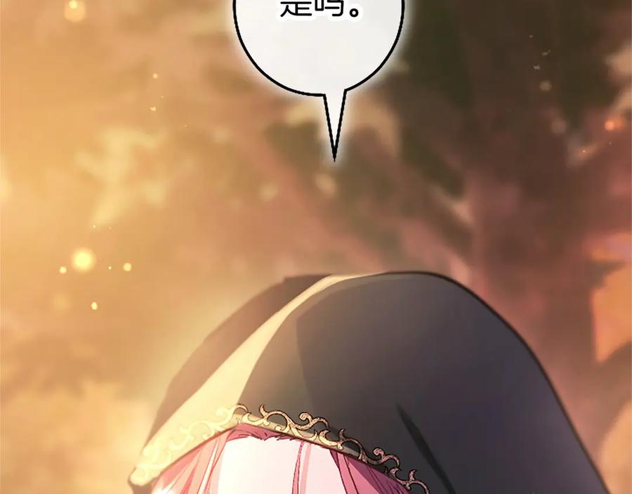 第244页