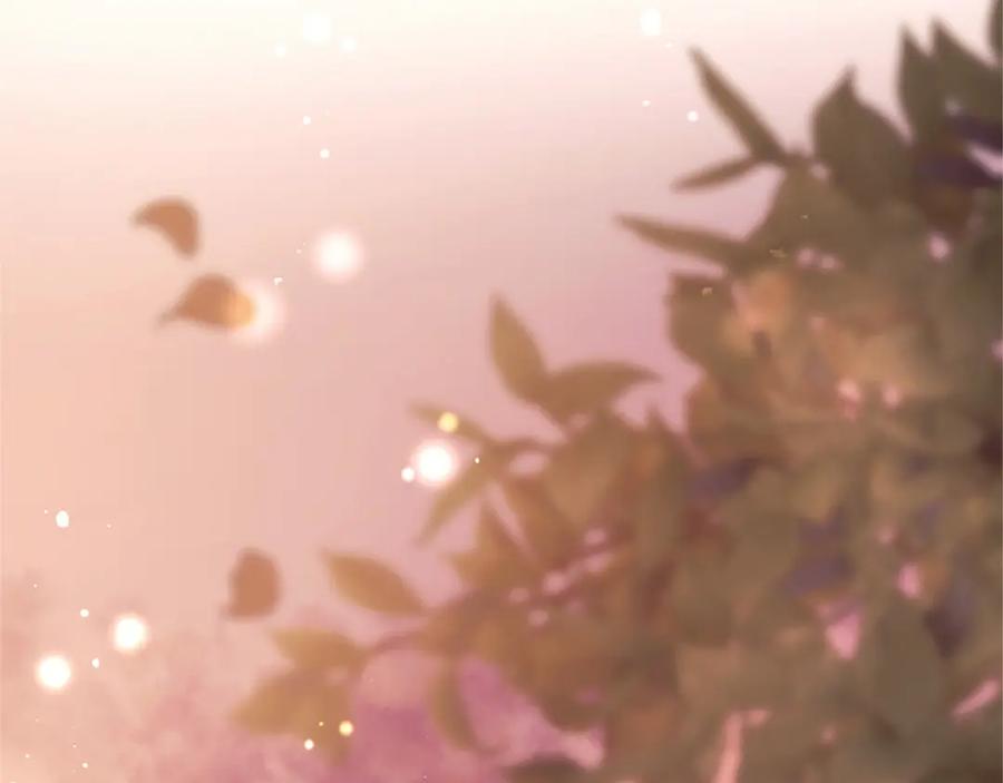 第250页