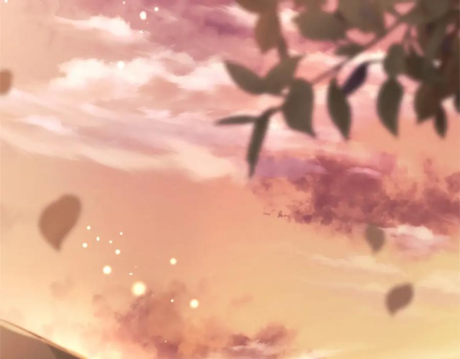 第251页