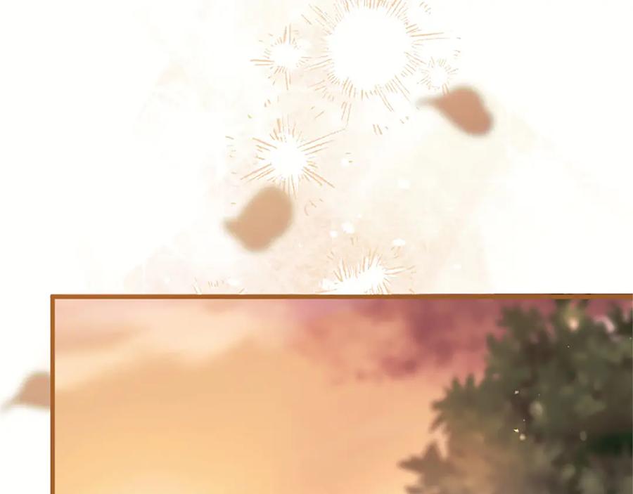 第255页