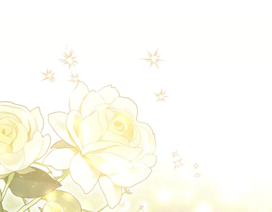 第264页
