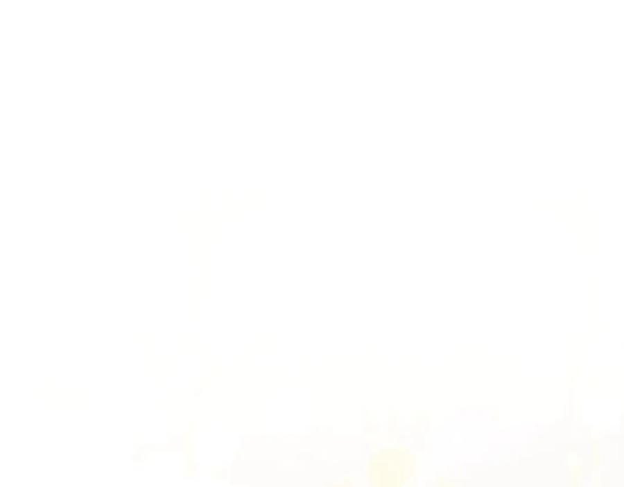 第282页