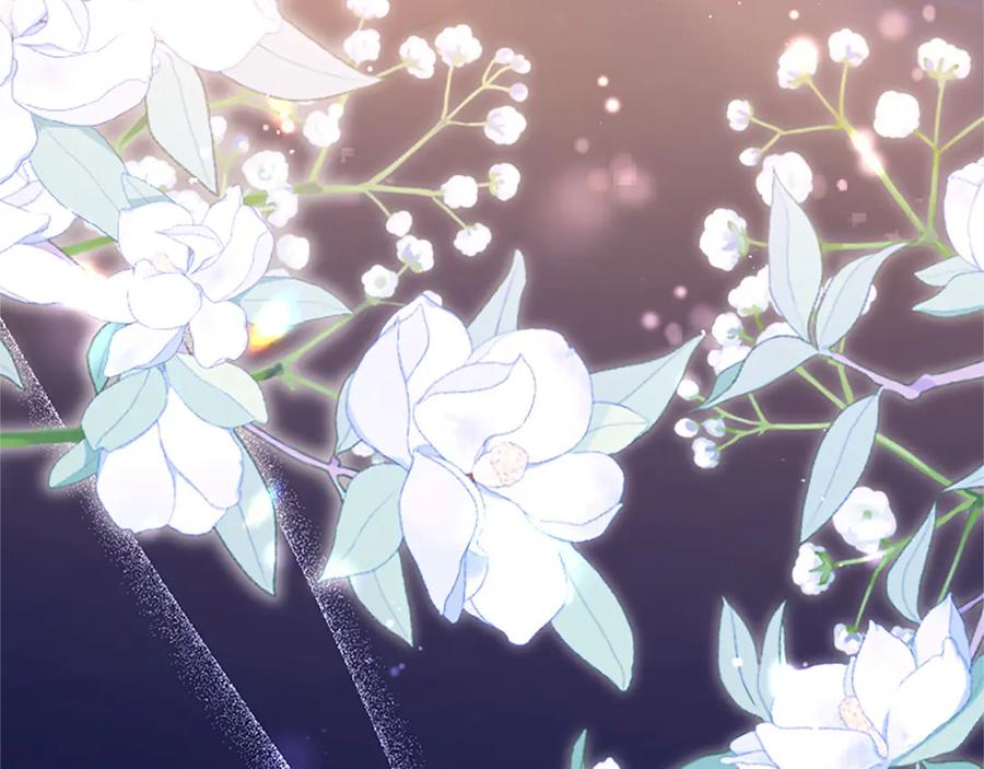 第250页