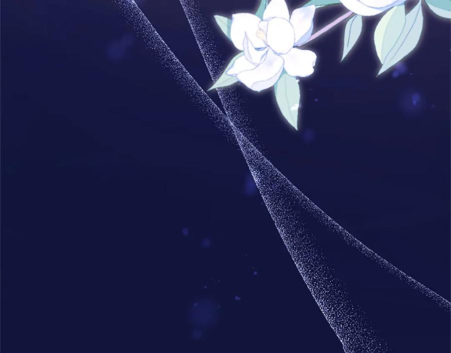 第251页