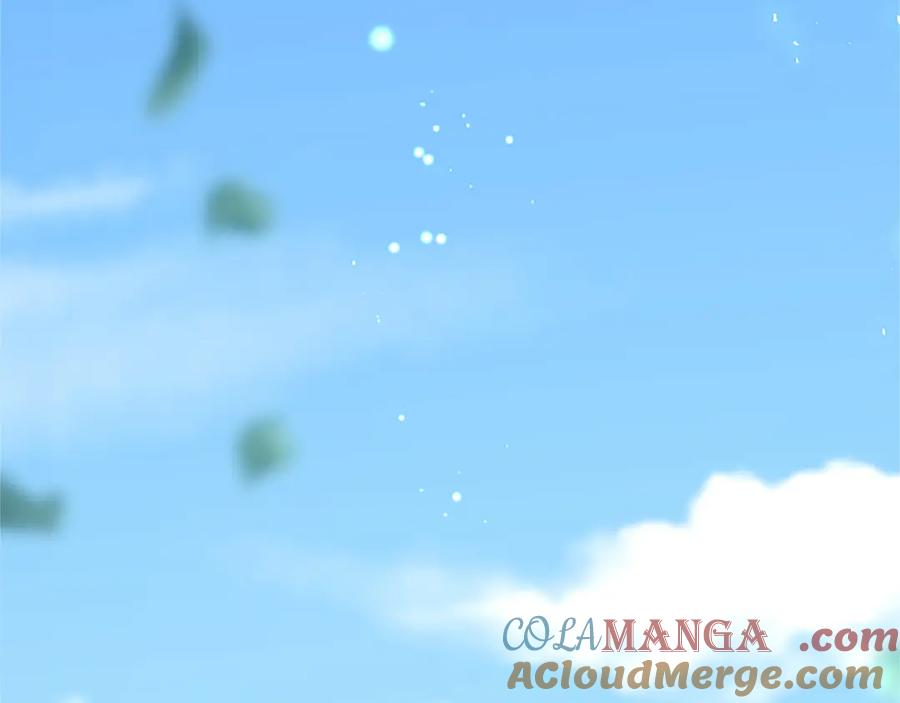 第205页